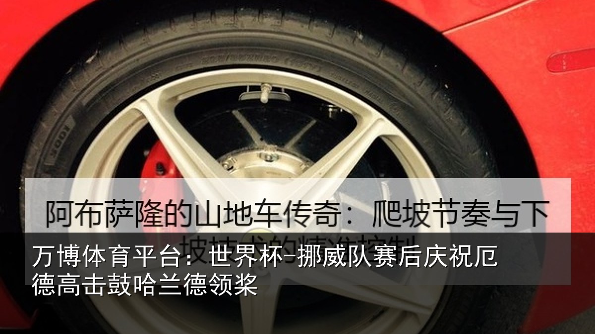 万博体育平台：世界杯-挪威队赛后庆祝厄德高击鼓哈兰德领桨