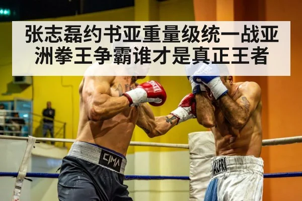 张志磊约书亚重量级统一战亚洲拳王争霸谁才是真正王者