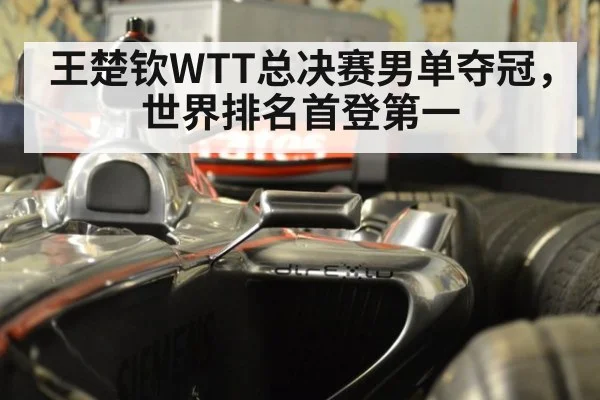 王楚钦WTT总决赛男单夺冠，世界排名首登第一